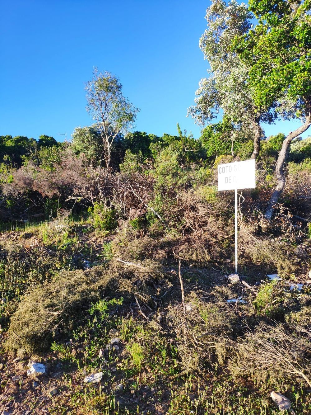 Terreno con matorral cortado y sin triturar, junto a un cartel de coto