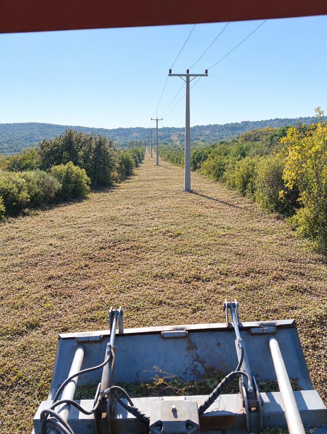 Calle de línea eléctrica desbrozada vista desde el tractor