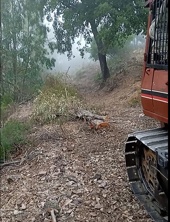 Troncos cortados junto al tractor oruga en un camino de monte con niebla